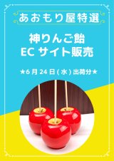 神！りんご飴の販売のおしらせ【ご注文予定の方はご一読ください】