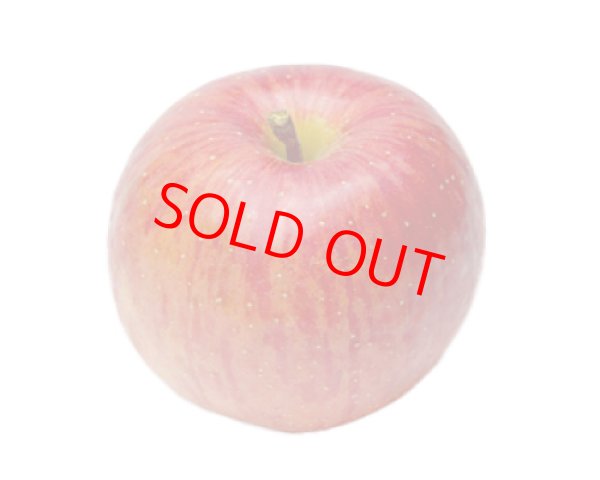 画像2: プレミアムりんごジュース『ふじ・紅玉』２本セット※贈答可 (2)