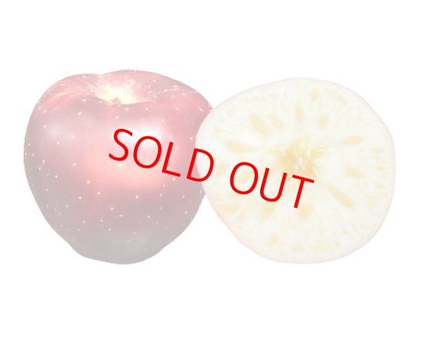 画像3: プレミアムりんごジュース『ふじ・おいらせ』２本セット※贈答可 (3)