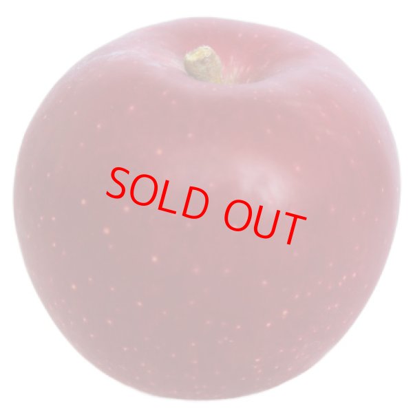 画像2: プレミアムりんごジュース『紅玉・おいらせ』２本セット※贈答可 (2)