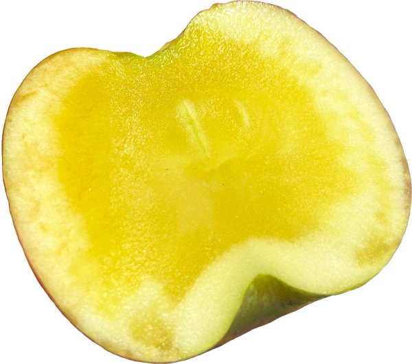 画像3: 【11/25(火)・11/26(水)限定！】蜜入り最高峰！希少品種【高徳（こうとく）Ｌパック※16〜26個 入り】先行限定販売 (3)