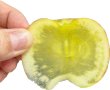 画像2: 【2日間限定！】　蜜入り最高峰！希少品種　【高徳（こうとく）Ｓパック※４個入り】限定販売 (2)