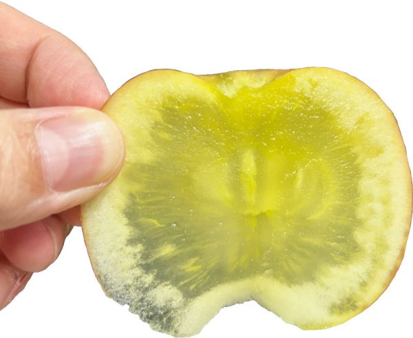 画像2: 【11/25(火)・11/26(水)限定！】蜜入り最高峰！希少品種【高徳（こうとく）Ｌパック※16〜26個 入り】先行限定販売 (2)