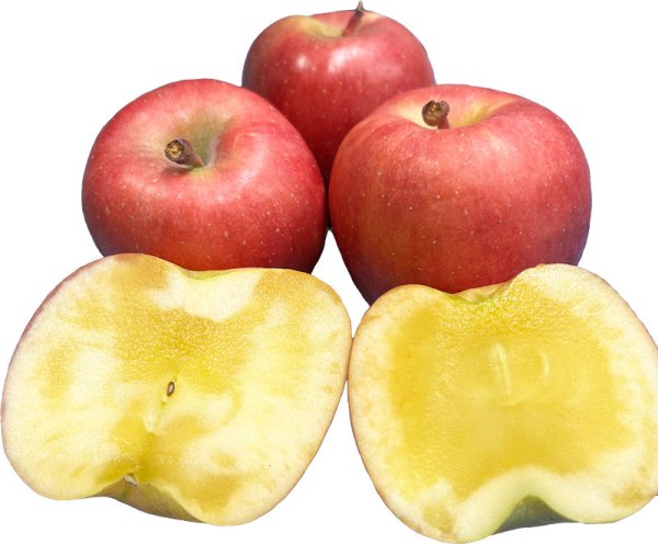 画像1: 【11/25(火)・11/26(水)限定！】蜜入り最高峰！希少品種【高徳（こうとく）Ｌパック※16〜26個 入り】先行限定販売 (1)