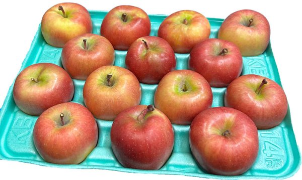 画像4: 【11/25(火)・11/26(水)限定！】蜜入り最高峰！希少品種【高徳（こうとく）Ｌパック※16〜26個 入り】先行限定販売 (4)