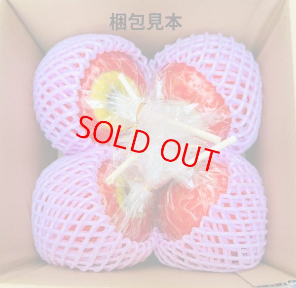 画像4: 要！説明欄をご一読ください【本気！！りんご飴４個セット】※クール便（１２月４日(木)発送分） (4)