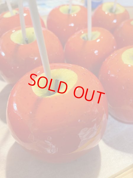 画像1: 要！説明欄をご一読ください【本気！！りんご飴４個セット】※クール便（１２月４日(木)発送分） (1)