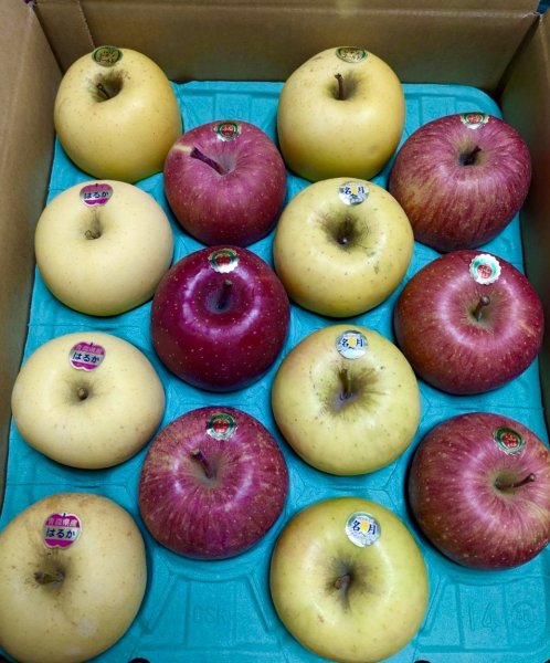 画像1: あおもり屋スペシャルセットＬサイズ【ふじ・シナノゴールド・はるか・名月】 (1)