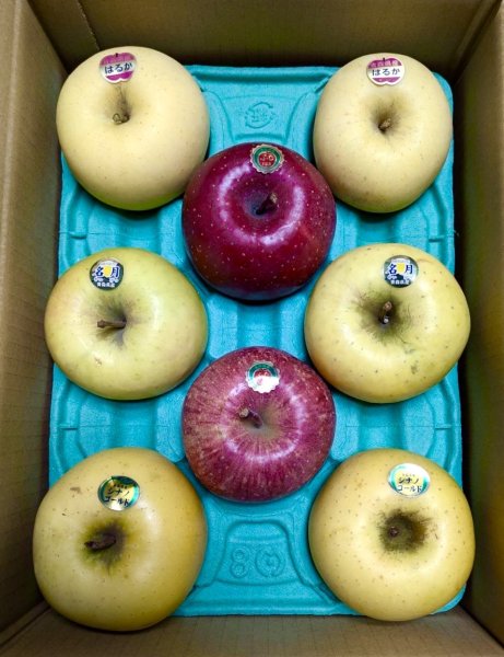 画像1: あおもり屋スペシャルセットＭサイズ【ふじ・シナノゴールド・はるか・名月】 (1)